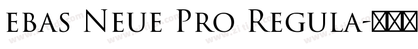ebas Neue Pro Regula字体转换 ebas Neue Pro Regula字体转换